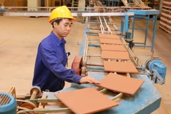 Viglacera xuất khẩu vật liệu xây dựng đạt trên 30 triệu USD