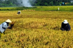 Việt Nam-Sudan cùng thúc đẩy hợp tác trên nhiều lĩnh vực
