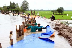 Đồng bằng sông Cửu Long chủ động phòng tránh thiệt hại do lũ 