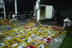 Phân loại hải sản tại cảng cá. Ảnh minh họa. (Nguồn: TTXVN)