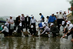 Tái tạo nguồn thủy sản trong Vùng đánh cá chung Vịnh Bắc Bộ