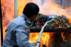 Tỷ lệ sử dụng ma túy gia tăng tại châu Á, châu Phi và Nam Mỹ