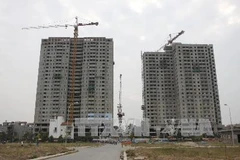 Ảnh minh họa. (Nguồn: TTXVN)