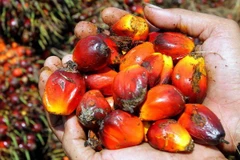 Malaysia thành lập Hội đồng xuất khẩu thúc đẩy cạnh tranh