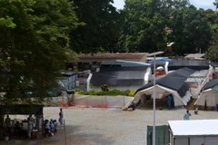 WHO họp khẩn với các nước Tây Phi nhằm đối phó dịch Ebola