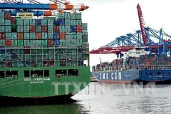 Tàu chở container neo đậu tại cảng ở Hamburg của Đức. (Nguồn: AFP/TTXVN)