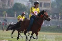 Đua ngựa Bắc Hà. Ảnh minh họa. (Nguồn: TTXVN)