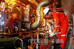 Công nhân Việt Nam làm việc trên giàn khoan Bạch Hổ. (Ảnh: Huy Hùng/TTXVN)