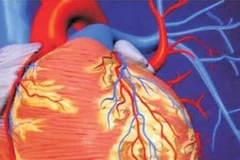 Đột phá mới trong phục hồi cơ tim tê liệt sau cơn đau tim