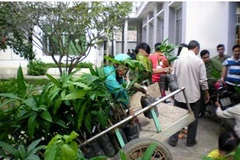 Chuyển giao cây xoài giống cho các hộ nông dân. (Nguồn: angiang.gov.vn)