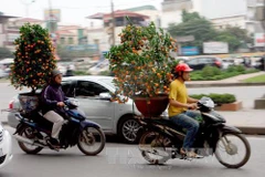 Thời tiết nắng ấm trên cả nước trong những ngày cuối năm Quý Tỵ. (Ảnh: Đình Huệ/TTXVN)