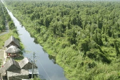 Phát hiện nhiều động vật hoang dã quý hiếm ở rừng U Minh Hạ