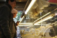 Ảnh minh họa. (Nguồn: TTXVN)