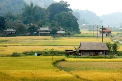 Những đổi thay trên vùng đất Thanh Xương lịch sử