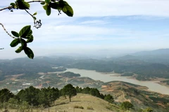 Bắc Bộ dịu mát, Tây Nguyên và Nam Bộ có mưa dông rải rác