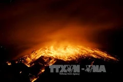 Ảnh minh họa. (Nguồn: AFP/TTXVN)