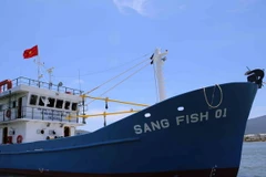 Quảng Nam thí điểm các mô hình đóng tàu bằng vật liệu mới