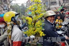 Phiên chợ tất niên đặc biệt của người Hà Thành