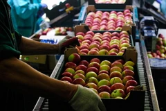 "Nga tìm cách mở rộng lệnh cấm nhập khẩu cả hàng hóa quá cảnh"