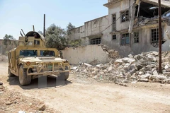 Binh sỹ Iraq làm nhiệm vụ trong chiến dịch chống IS tại al-Shifaa, Mosul ngày 15/6. (Nguồn: AFP/TTXVN)