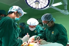 (Ảnh minh họa: Phương Vy/TTXVN)