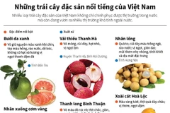 [Infographics] Những trái cây đặc sản nổi tiếng của Việt Nam