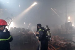 (Ảnh minh họa: Huyền Trang/TTXVN)