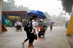 (Ảnh minh họa: Quân Trang/TTXVN)