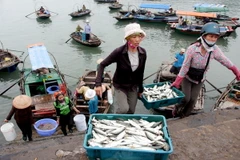 Ngư dân huyện đảo Cát Hải đang chuyển cá từ tàu đánh bắt lên bờ tại cảng cá Cát Bà. (Ảnh: Huy Hùng/TTXVN)