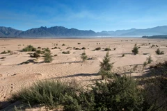 (Nguồn: AFP/TTXVN)