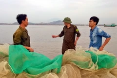 (Ảnh minh họa: Nguyễn Hoàng/TTXVN)