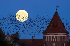 Hình ảnh siêu Mặt Trăng chụp tại Mir, Belarus vào năm 2015. (Nguồn: AP)