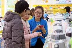 Tư vấn cho khách hàng chọn lựa sản phẩm tại Điện Máy Xanh. (Ảnh: T.H/Vietnam+) 