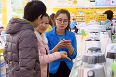 Tư vấn cho khách hàng chọn lựa sản phẩm tại Điện Máy Xanh. (Ảnh: T.H/Vietnam+) 