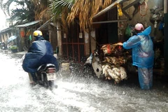 Mưa lớn cộng với mùi hôi thối từ cống rãnh khiến nhiều người dân khốn khổ. khi đi qua đường Hoàng Mai. (Ảnh: Trung Hiền/Vietnam+)