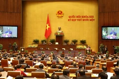 Khai mạc kỳ họp thứ 11. (Nguồn: Nhan Sáng/TTXVN)