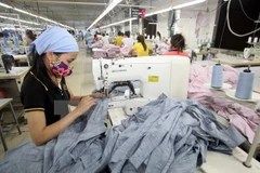 Ảnh chỉ có tính minh họa. (Nguồn: TTXVN)