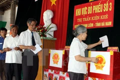 Ảnh minh họa. (Nguồn: Hữu Việt/TTXVN)