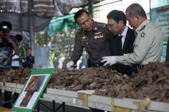 (Nguồn: bangkokpost.com)