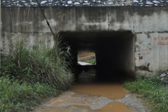 Cống chui dân sinh qua đường cao tốc thường xuyên bị ngập nước. (Ảnh: Đinh Hữu Dư/TTXVN)