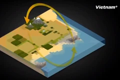 [Videographics] Khám phá một chu trình carbon đầy đủ