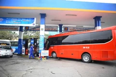 (Ảnh: Minh Quyết/TTXVN)