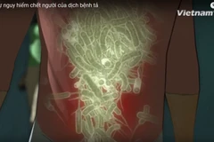 [Videographics] Sự nguy hiểm chết người của dịch bệnh tả