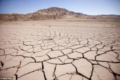 Ảnh minh họa. (Nguồn: Daily Mail)