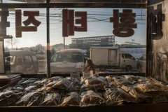 Cá khô được bày bán tại một gian hàng ở Pyeongchang, Hàn Quốc ngày 23/1. (Nguồn: AFP/TTXVN)