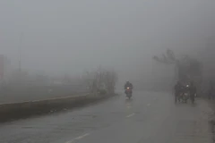 Ảnh minh họa. (Nguồn: TTXVN)