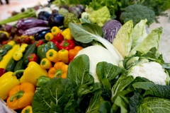 Vitamin B3 có nhiều trong các loại rau xanh. (Nguồn: AFP/TTXVN)