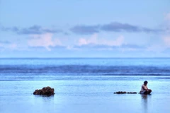 (Nguồn: slate.com)