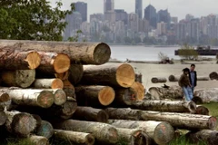 Ảnh minh họa. (Nguồn: Reuters)