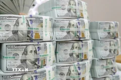 Đồng USD. (Ảnh: AFP/TTXVN)